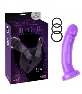 Arnes y Dildo Harness and Probe